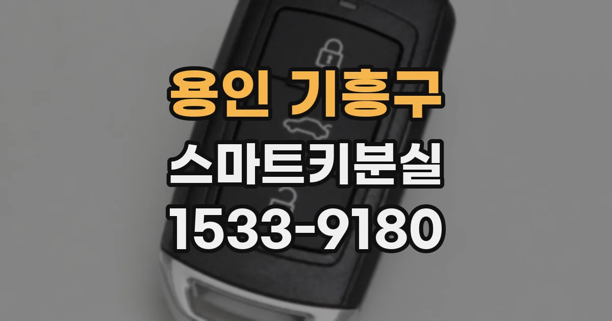 용인 기흥구 스마트키분실