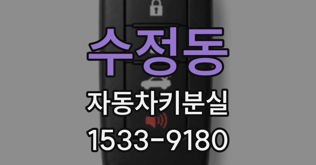 수정동 자동차키분실