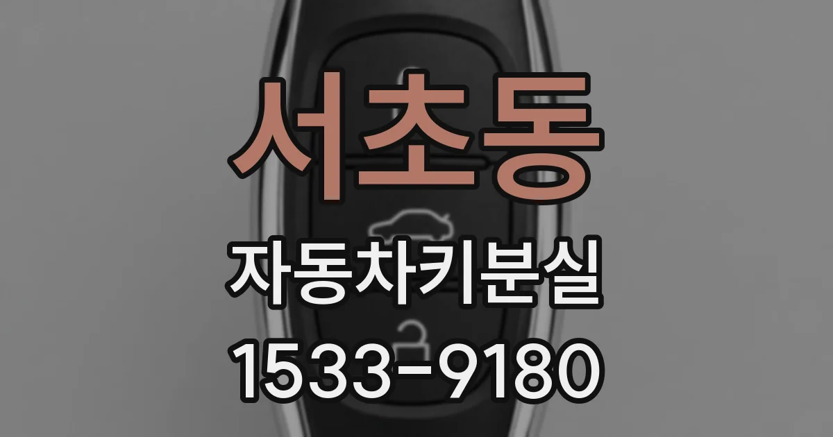 서초동 자동차키분실