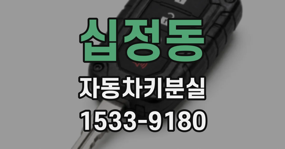 십정동 자동차키분실