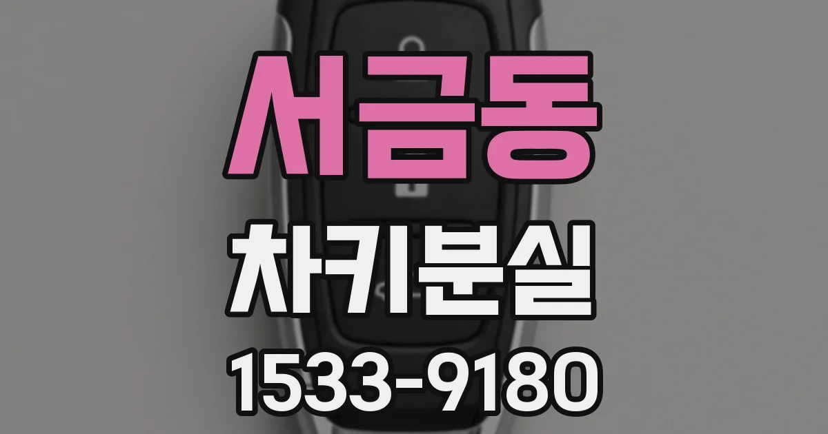 서금동 차키분실