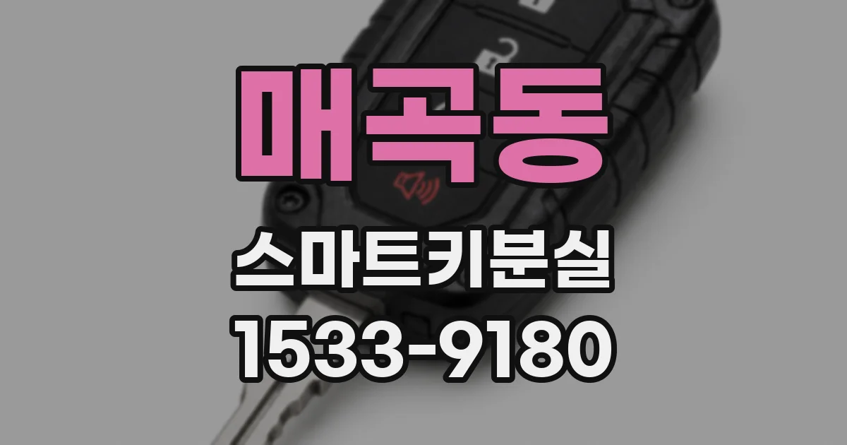 매곡동 스마트키분실