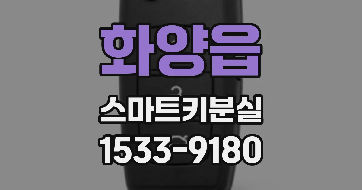 화양읍 스마트키분실