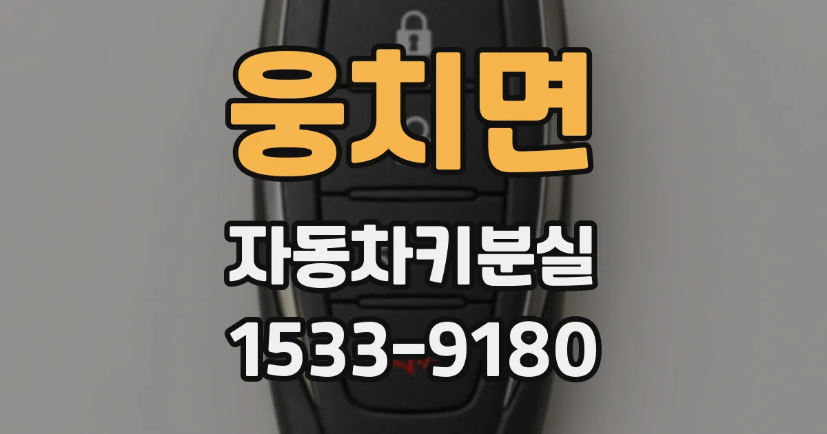 웅치면 자동차키분실