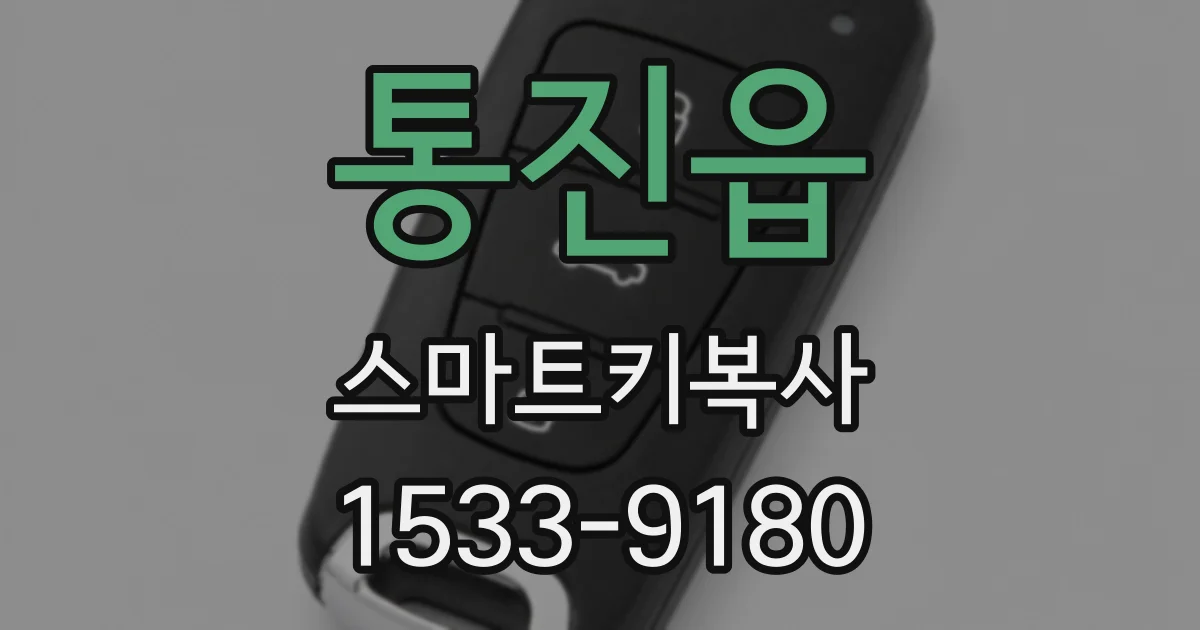 통진읍 스마트키복사