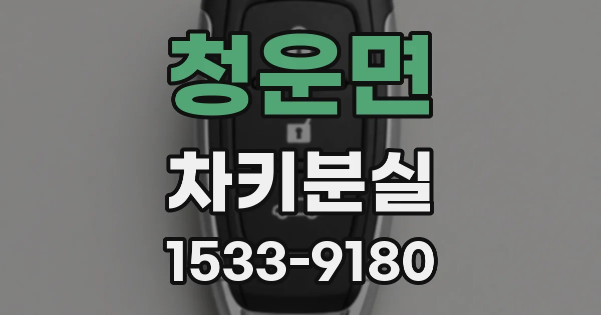 청운면 차키분실