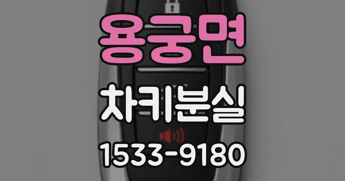 용궁면 차키분실