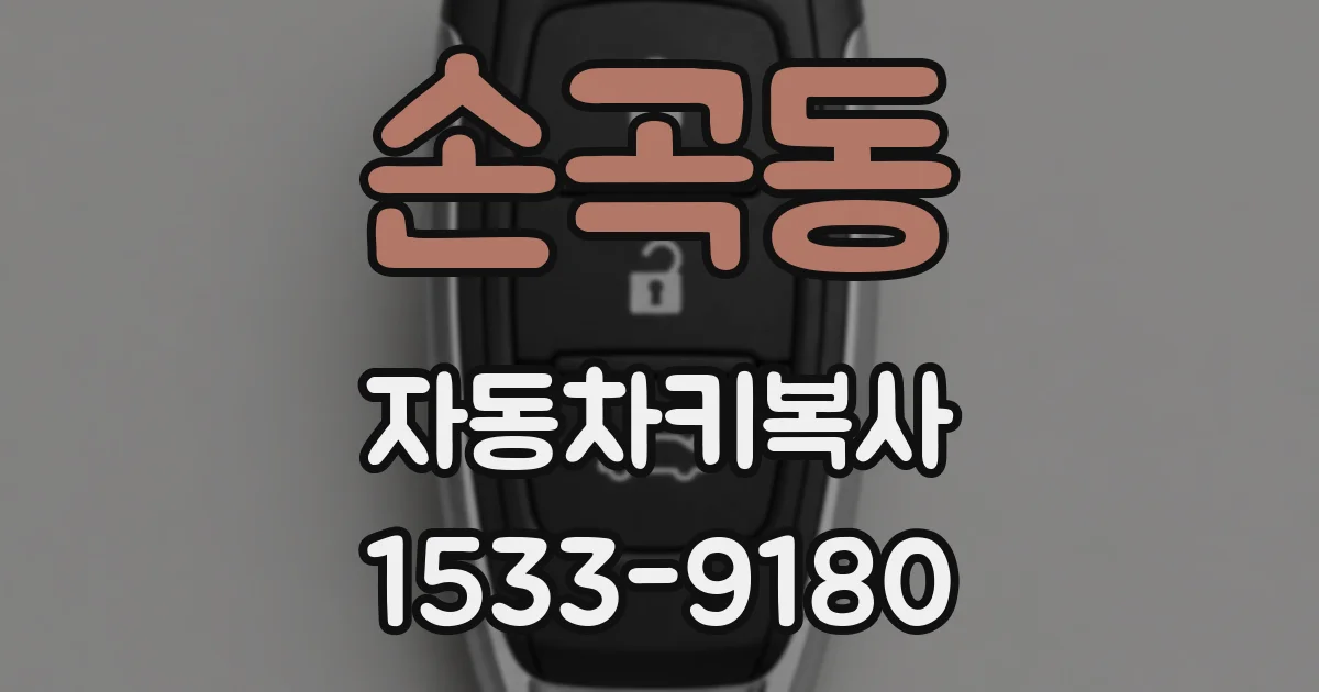 손곡동 자동차키복사