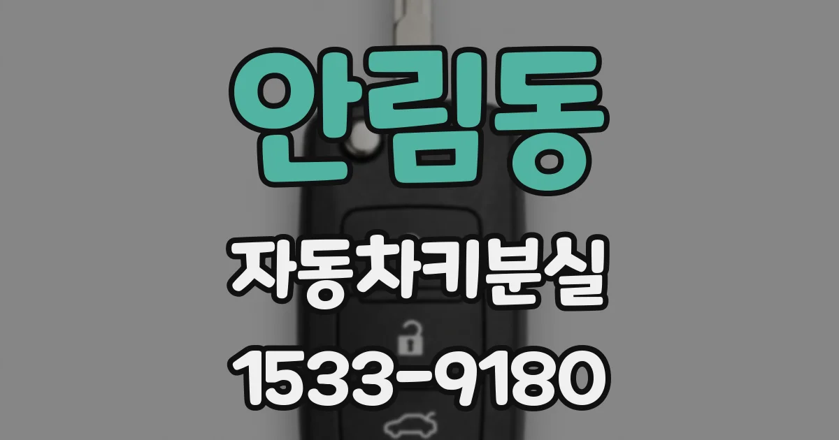 안림동 자동차키분실