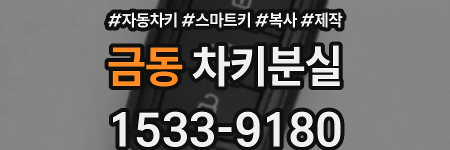금동 차키분실