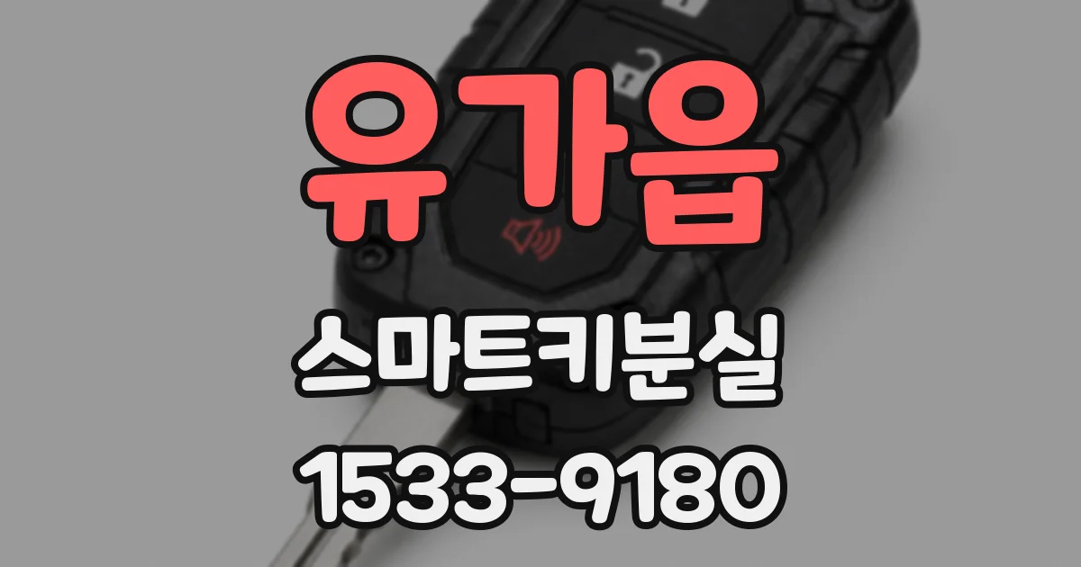 유가읍 스마트키분실