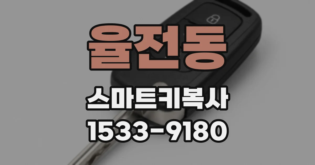 율전동 스마트키복사