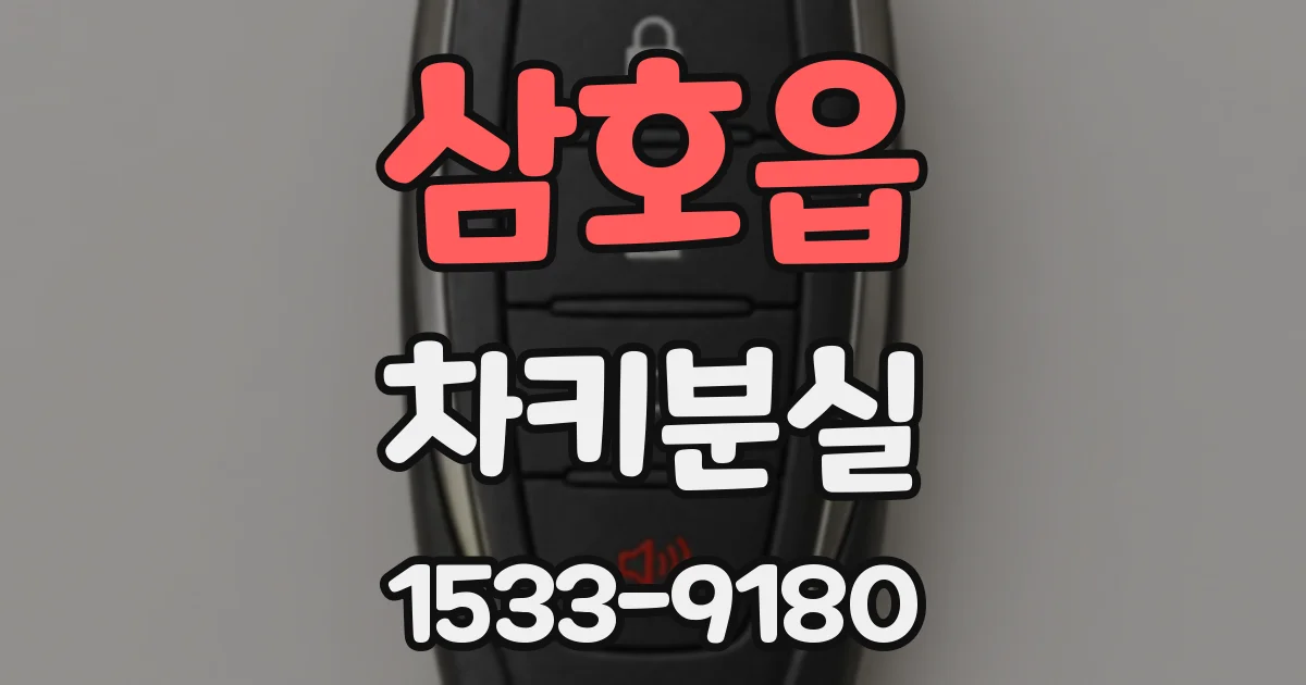 삼호읍 차키분실