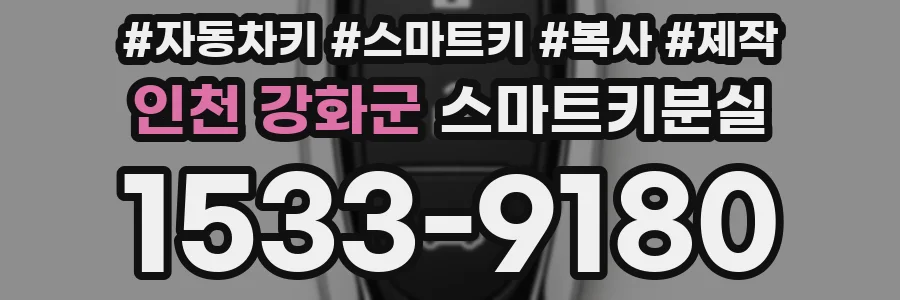 인천 강화군 스마트키분실