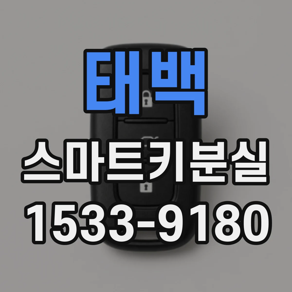 태백 스마트키분실