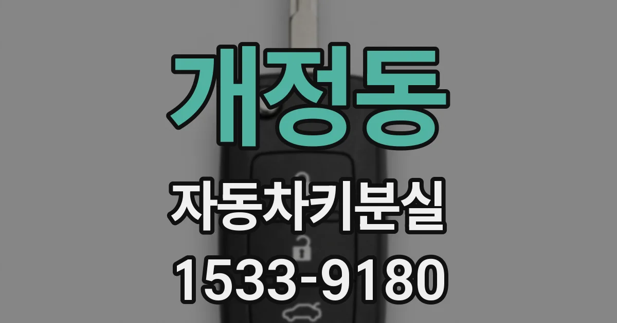개정동 자동차키분실
