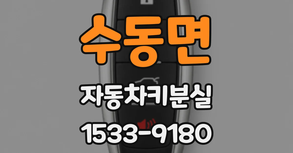 수동면 자동차키분실