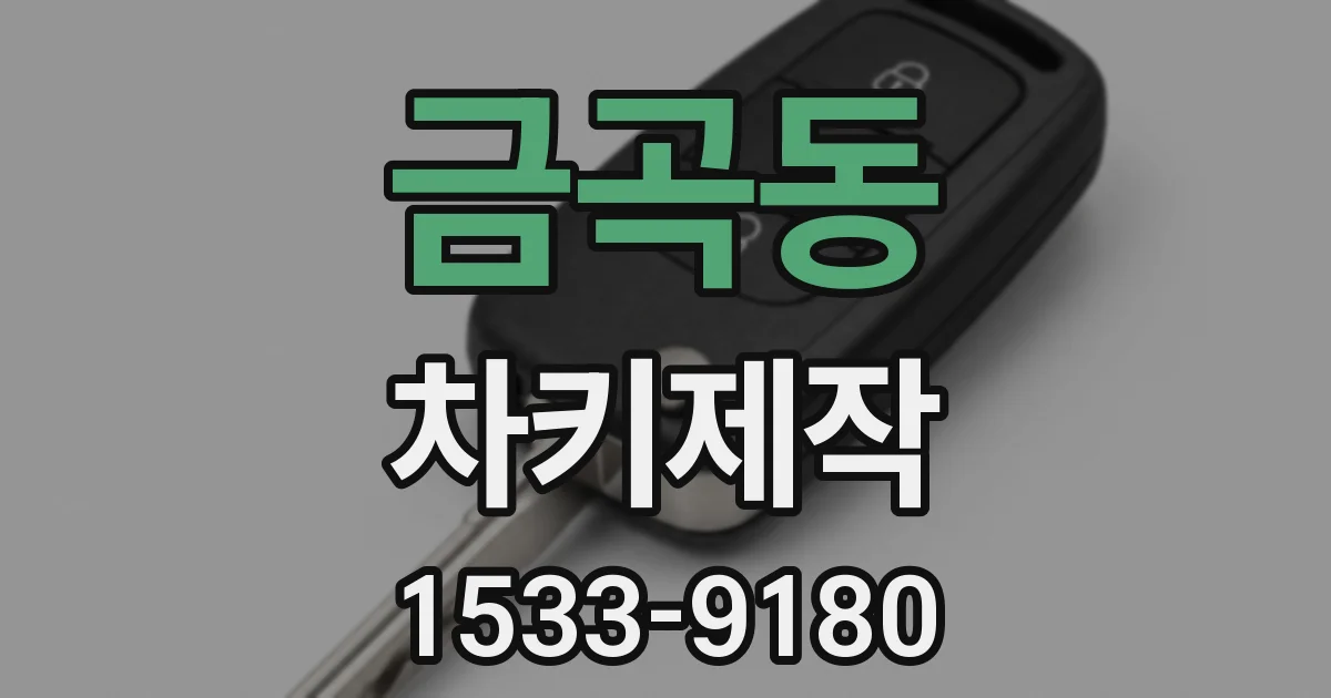금곡동 차키제작