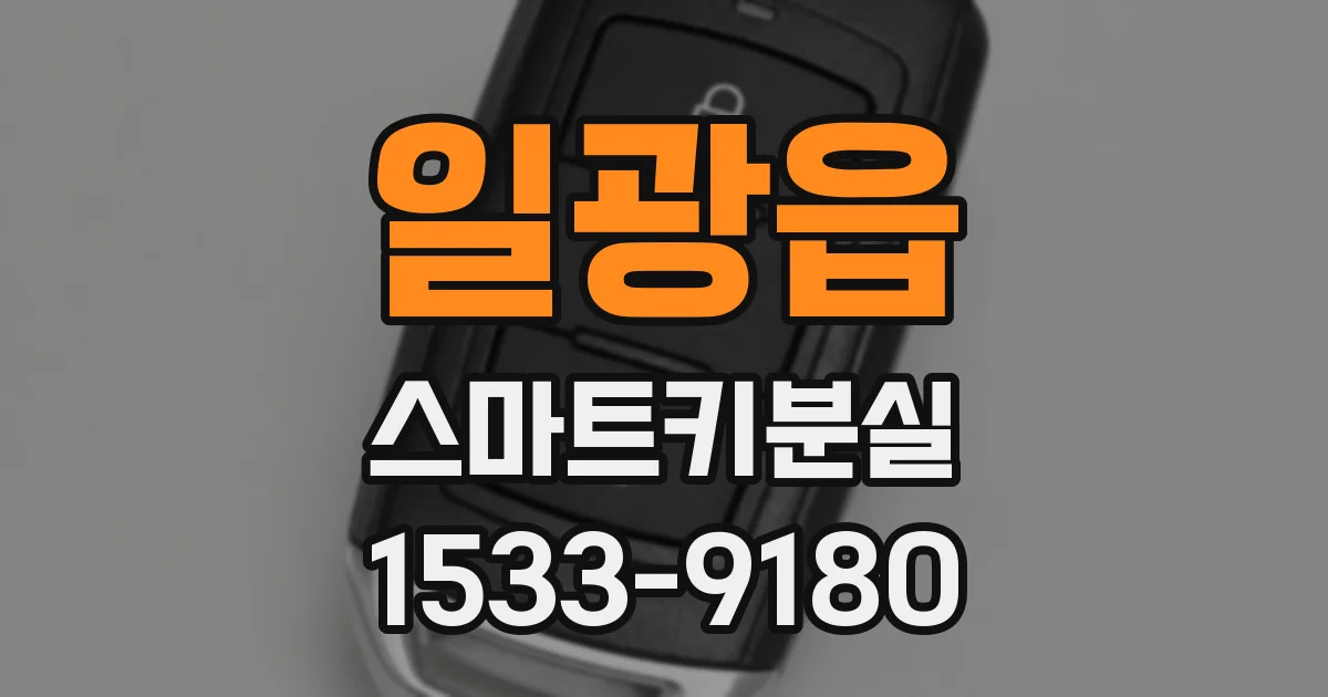 일광읍 스마트키분실