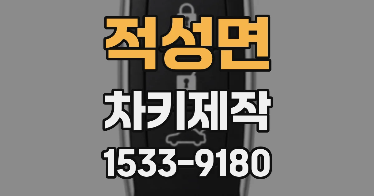 적성면 차키제작