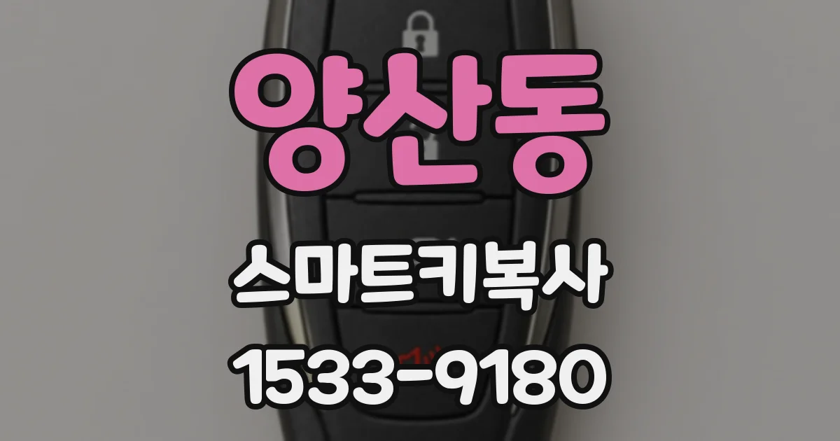양산동 스마트키복사