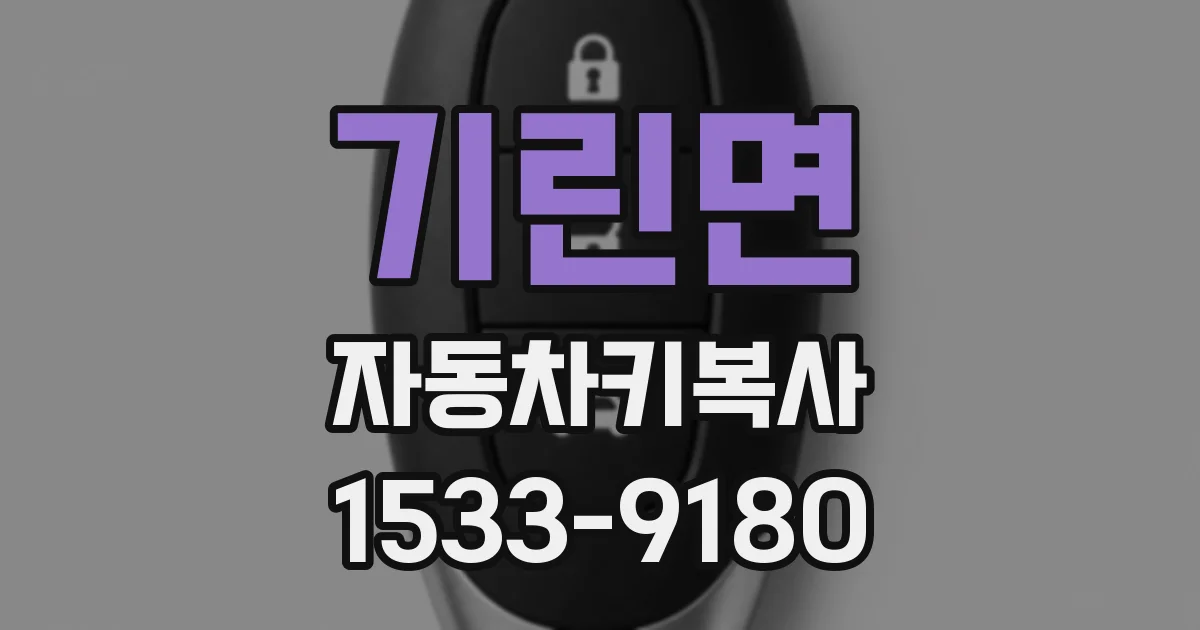 기린면 자동차키복사