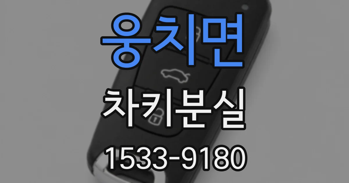웅치면 차키분실