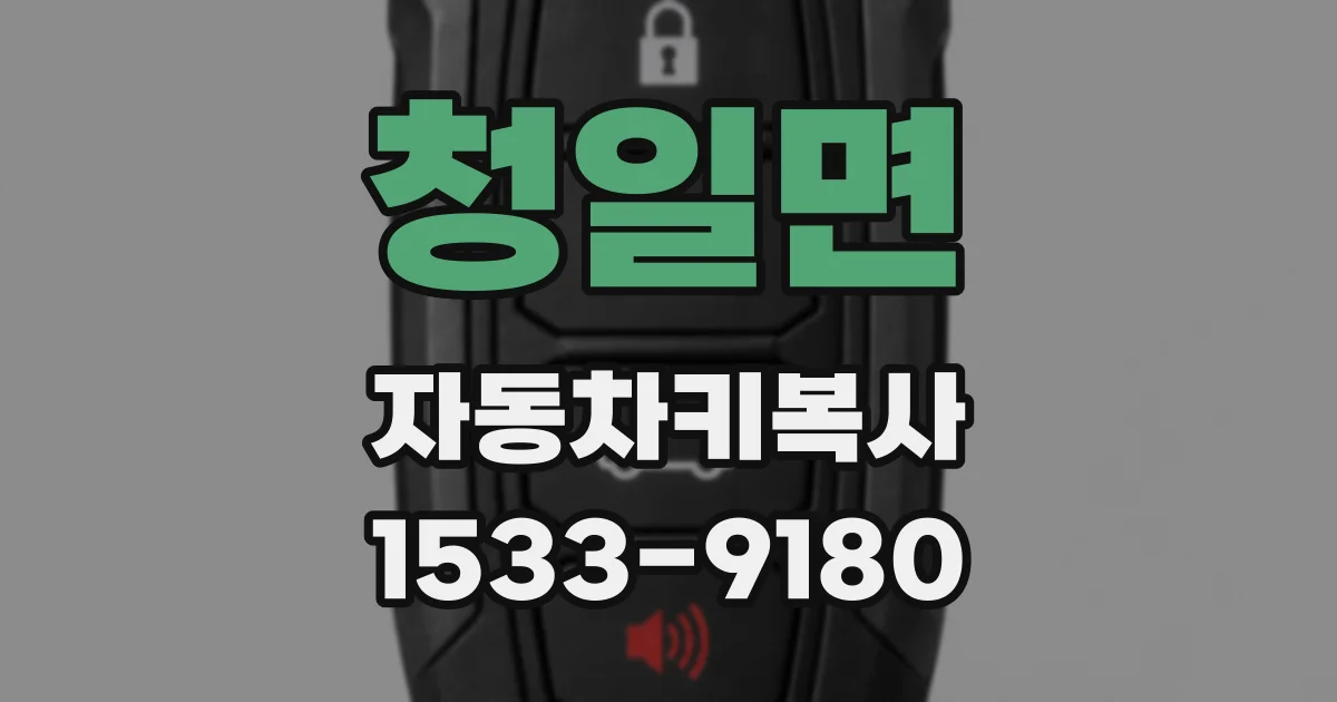 청일면 자동차키복사