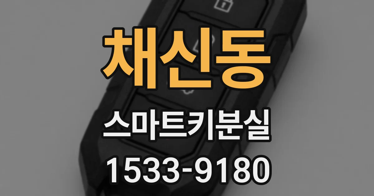 채신동 스마트키분실