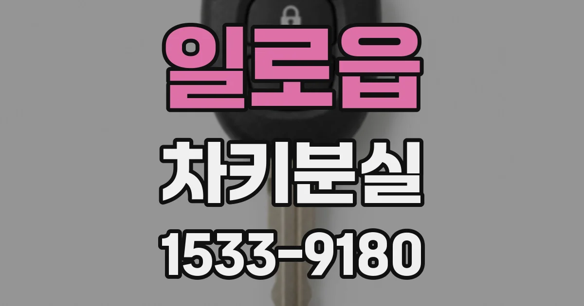 일로읍 차키분실