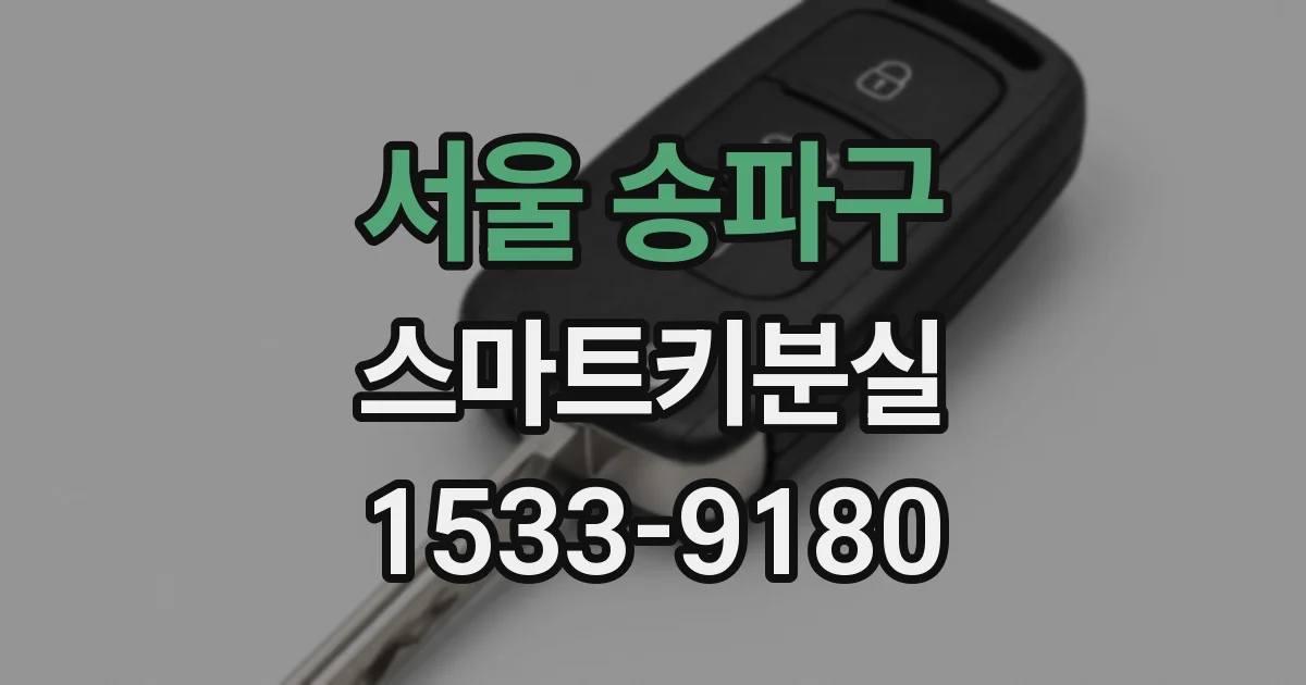 서울 송파구 스마트키분실