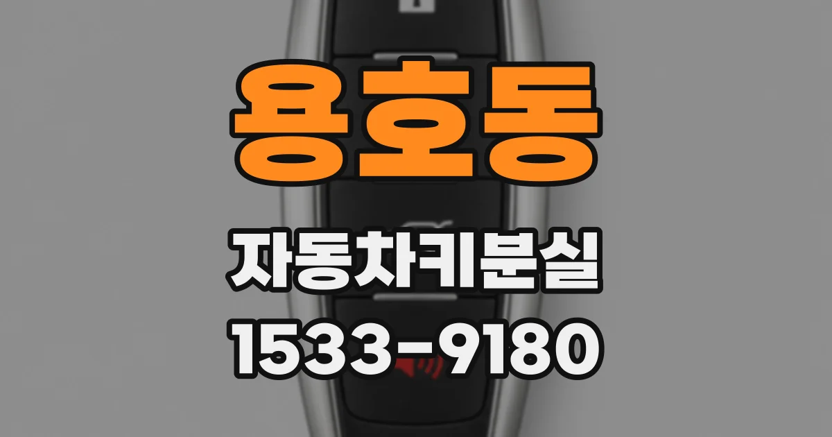 용호동 자동차키분실