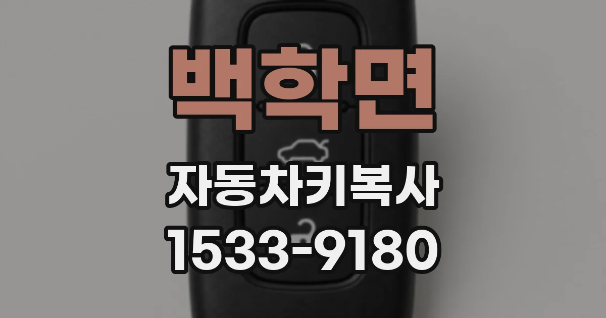 백학면 자동차키복사