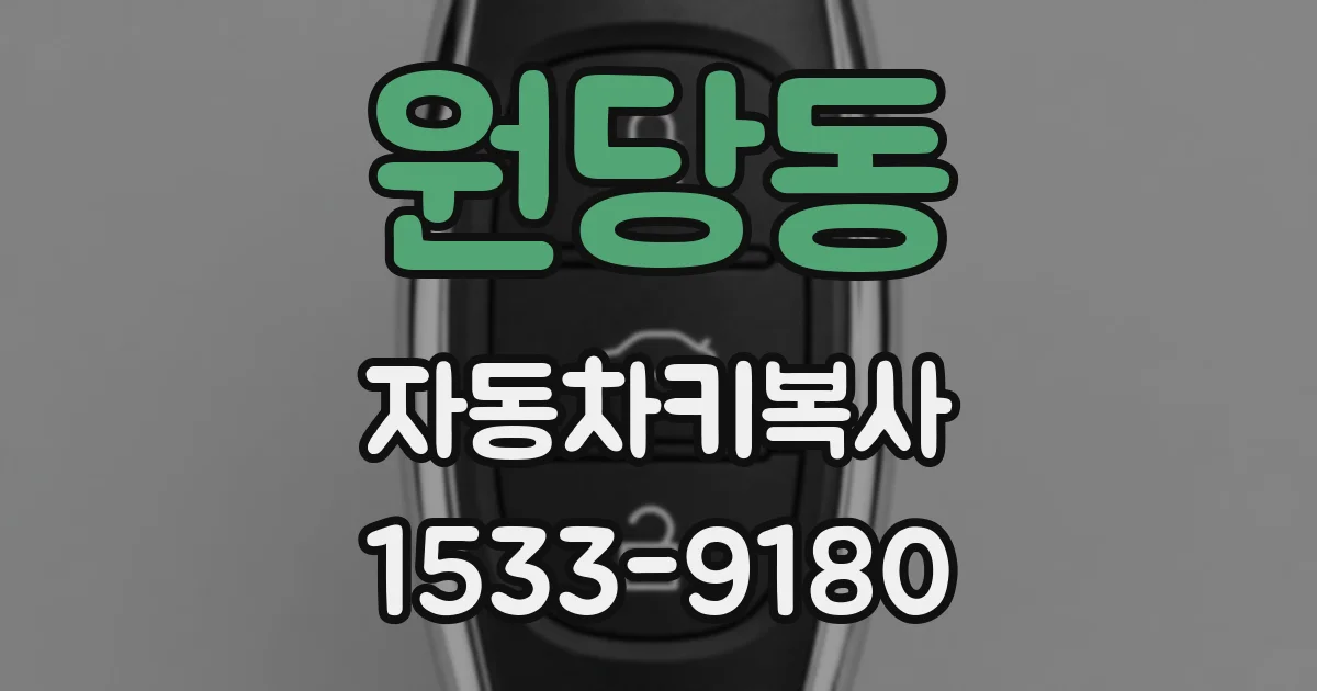 원당동 자동차키복사