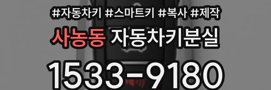 사농동 자동차키분실