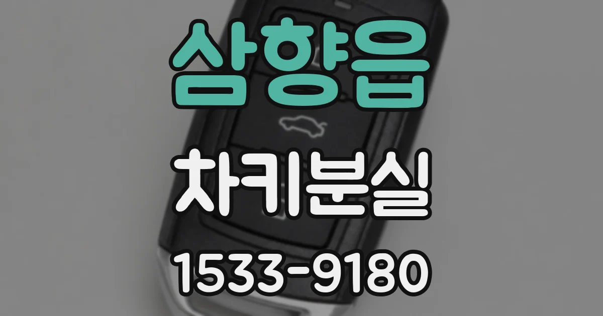 삼향읍 차키분실
