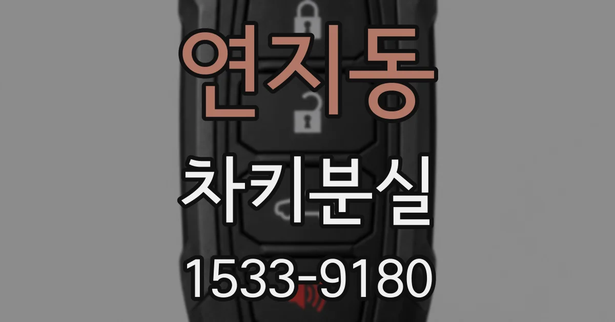 연지동 차키분실