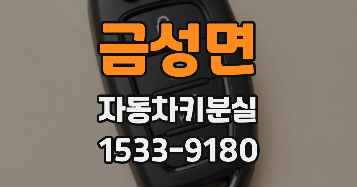 금성면 자동차키분실
