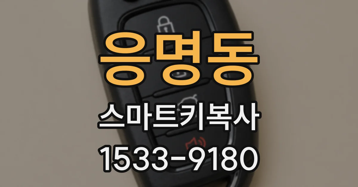 응명동 스마트키복사