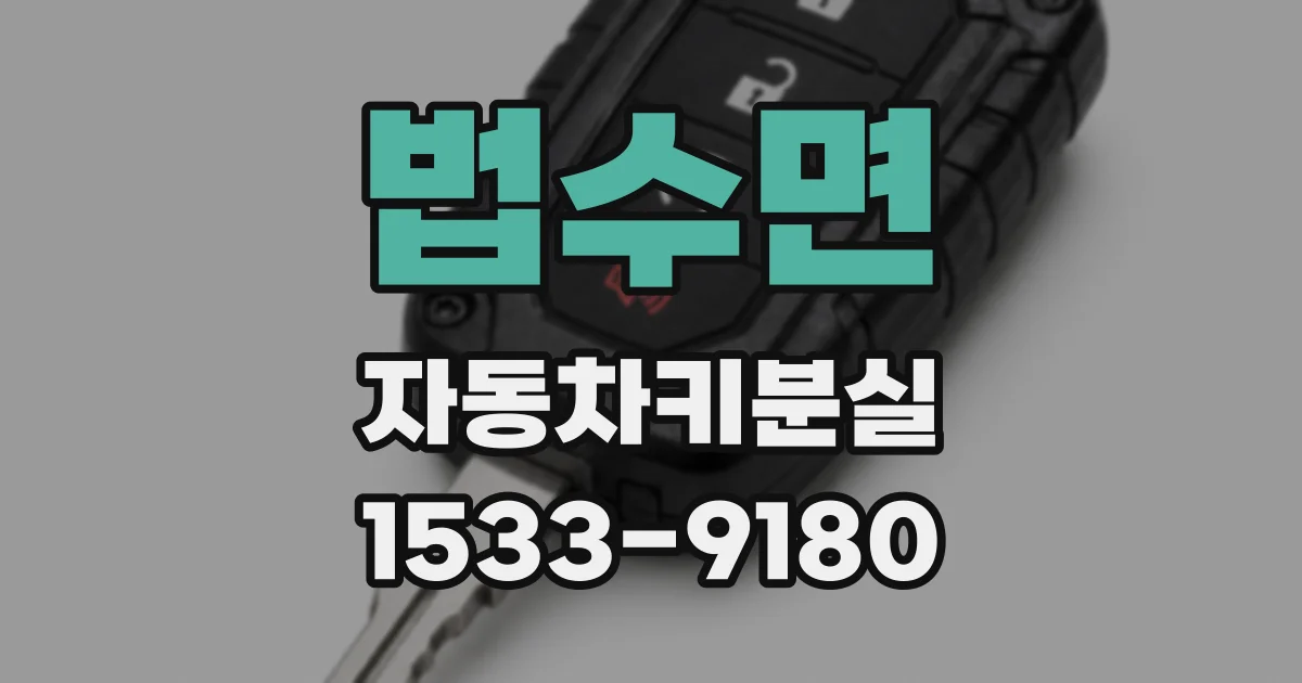 법수면 자동차키분실
