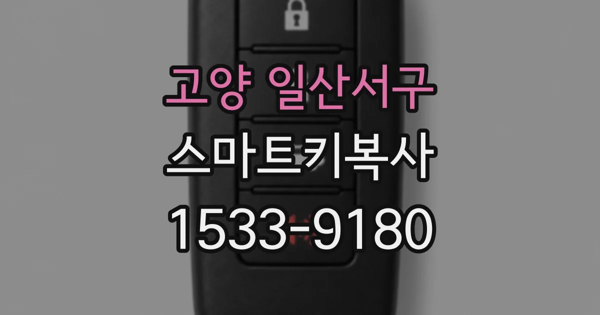 고양 일산서구 스마트키복사