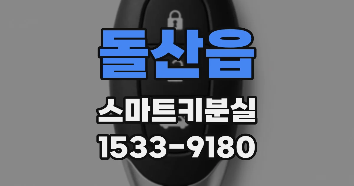 돌산읍 스마트키분실