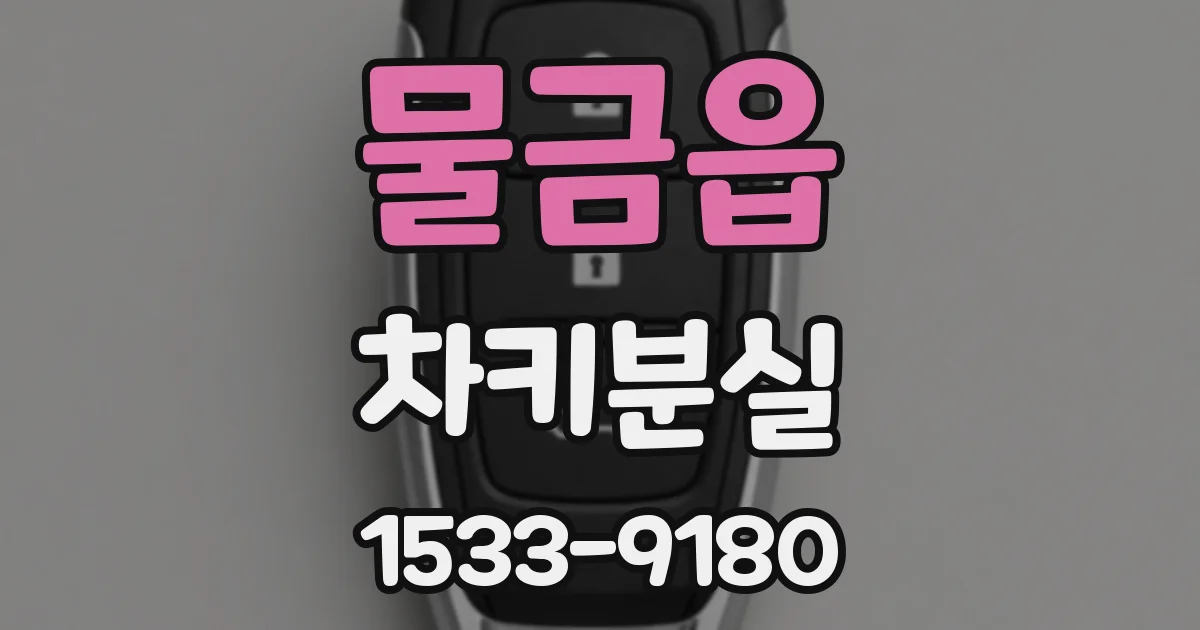 물금읍 차키분실