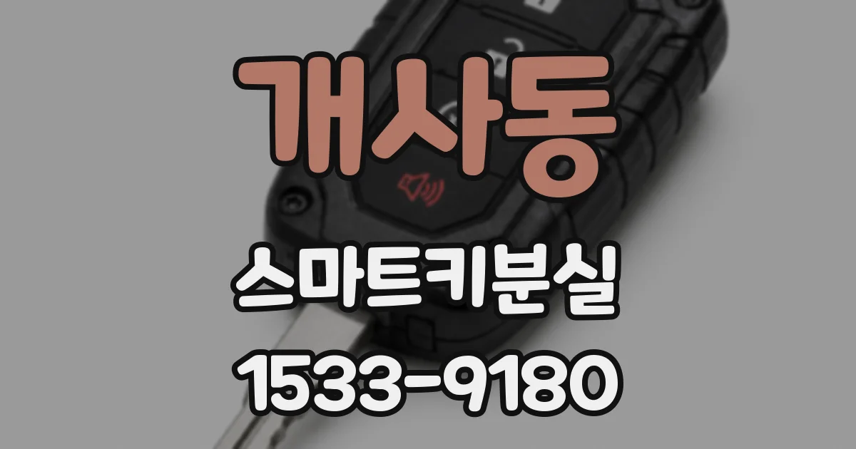 개사동 스마트키분실