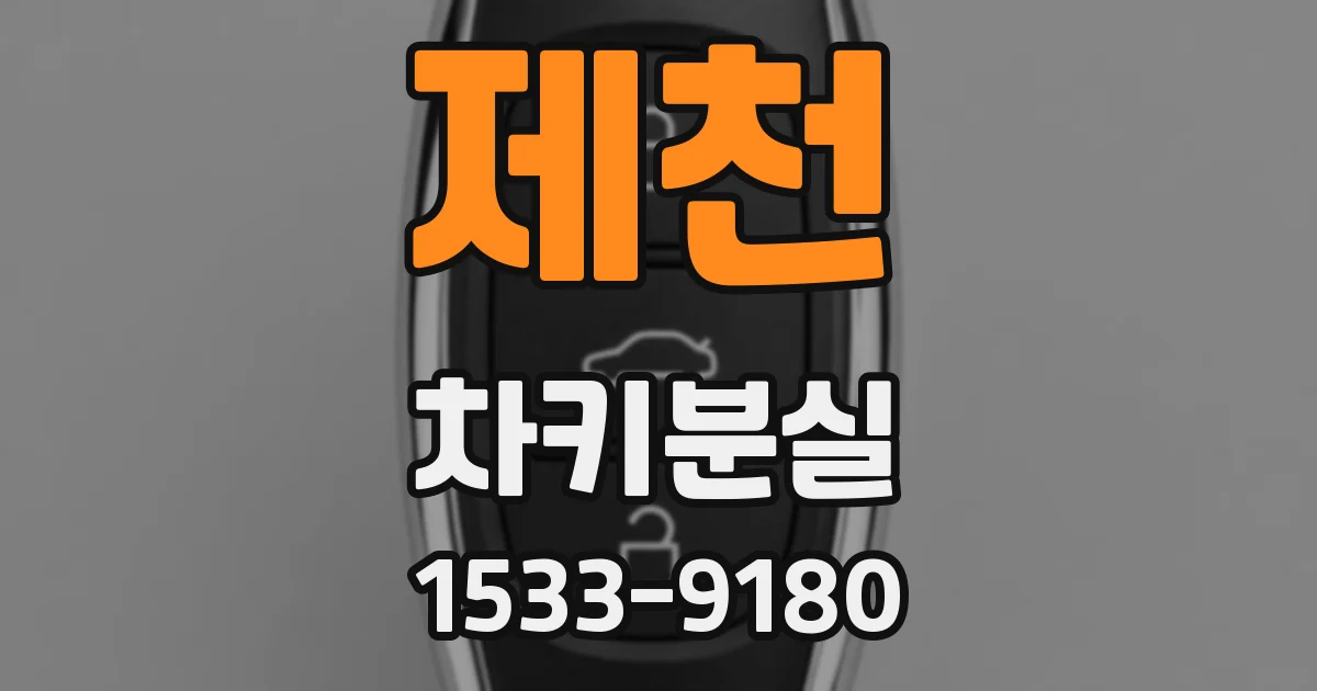 제천 차키분실