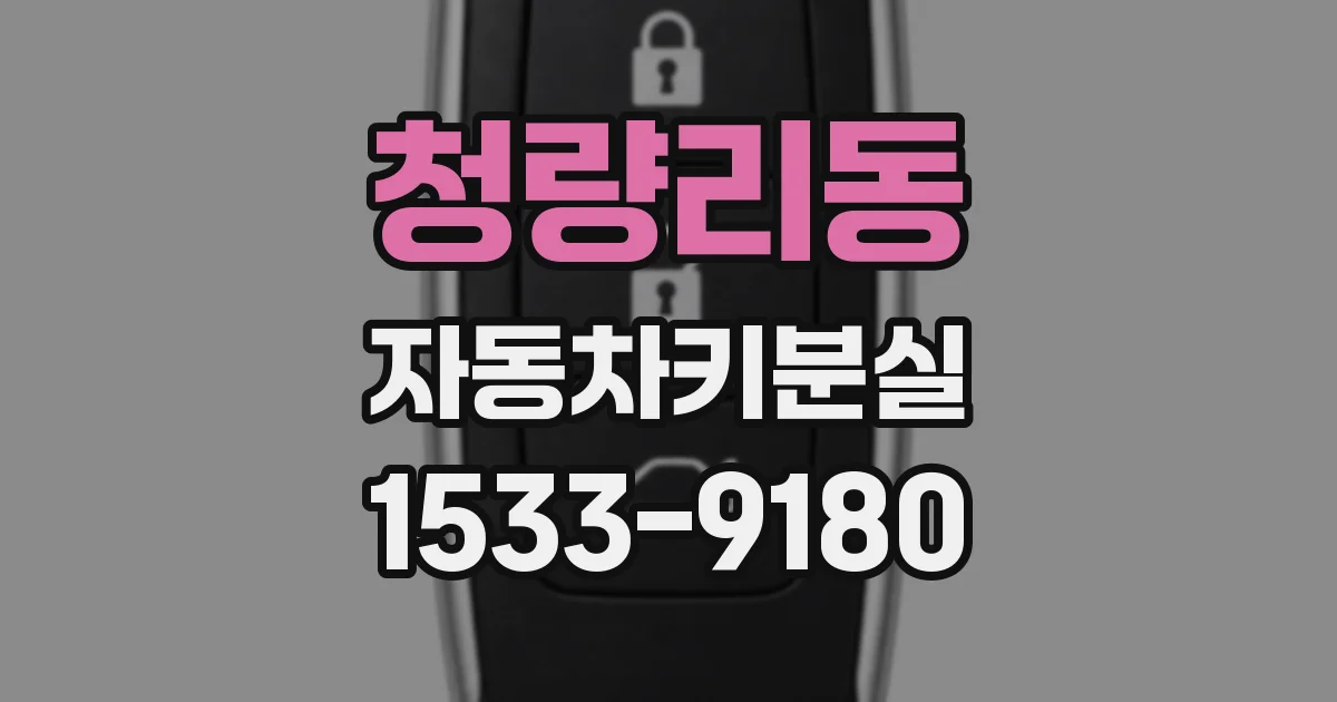청량리동 자동차키분실