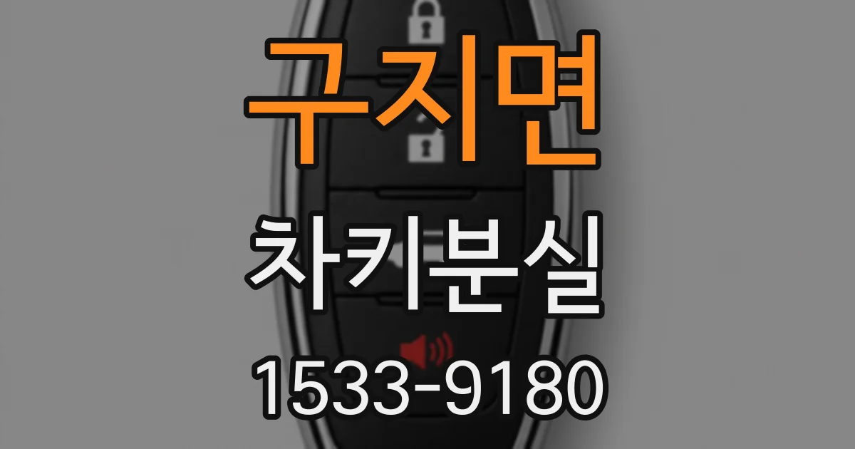 구지면 차키분실