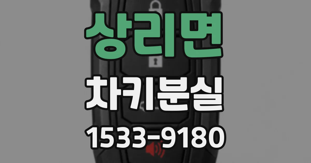 상리면 차키분실