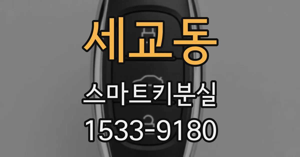 세교동 스마트키분실