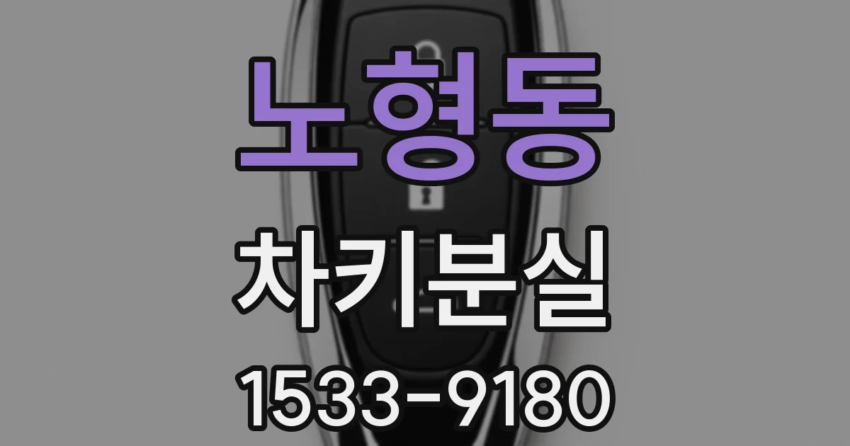 노형동 차키분실